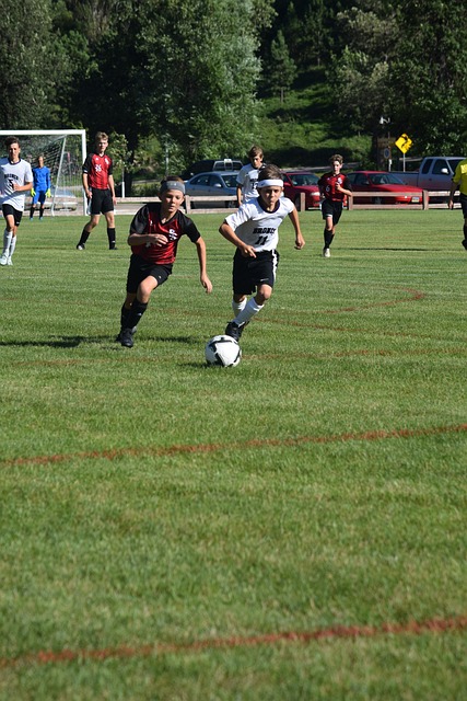 勇士也需稳 勇士也需稳
