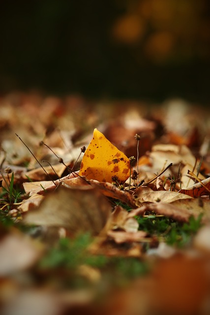 创造出一种 创造出一种