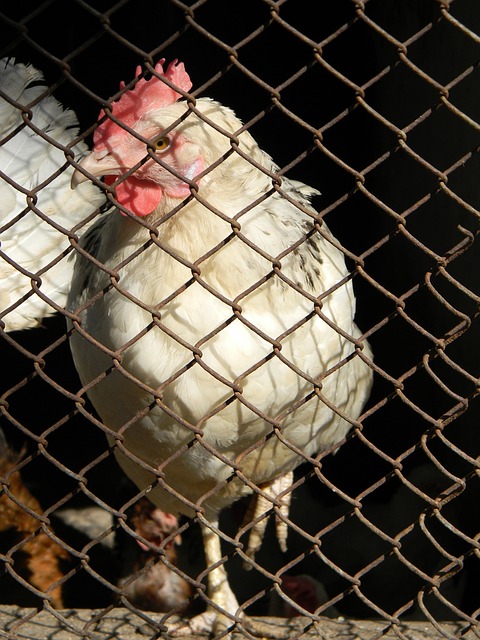 更健康的网 更健康的网