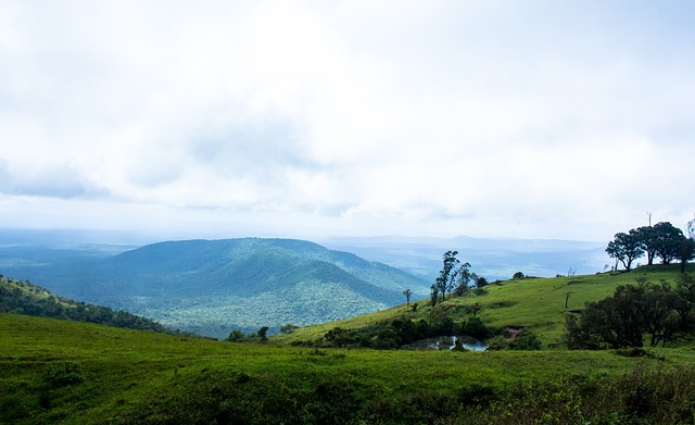 技术水平和 技术水平和