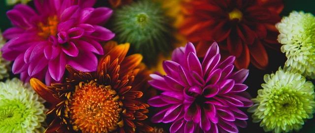 这样的案例 这样的案例