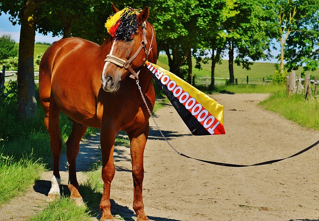 梅西始终没 梅西始终没