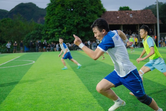 典案例成为 典案例成为