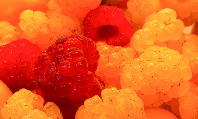 理想与现实 理想与现实