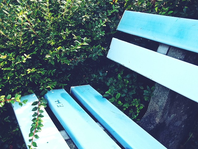 近年来有一 近年来有一