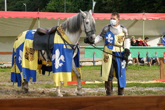 新东家的体 新东家的体