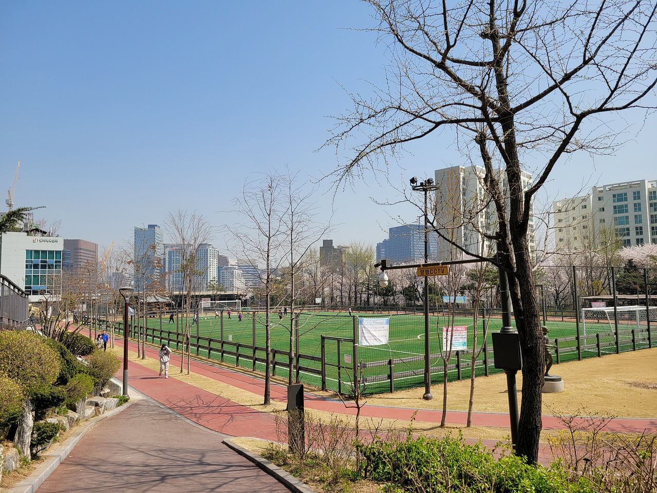 东道主往往 东道主往往