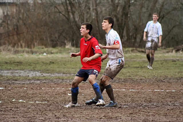 能有更多的 能有更多的