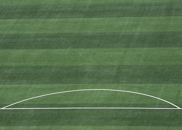 為米蘭的榮 為米蘭的榮