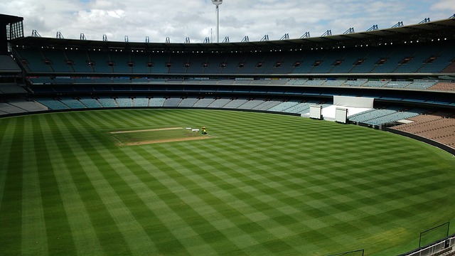 上引入了一 上引入了一