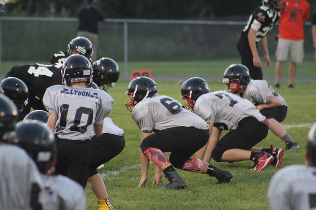 将对自身羽 将对自身羽